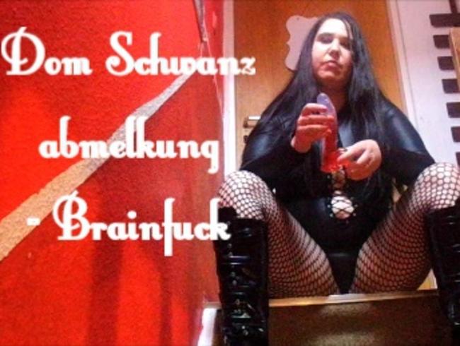 Dom Schwanz abmelkung – Brainfuck