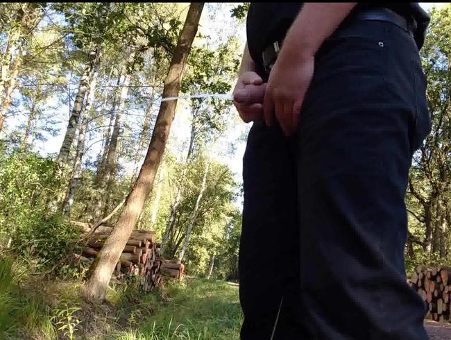 Pissen beim Spaziergang