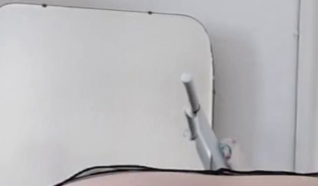 Analplugs