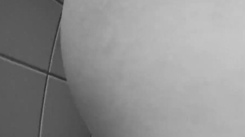 WC-Doggyfick mit Bodycam (99)