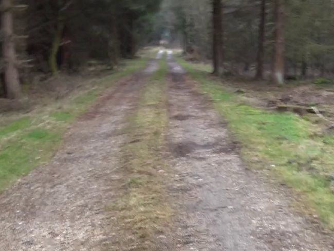 NS auf dem Waldweg nach dem Blowjob