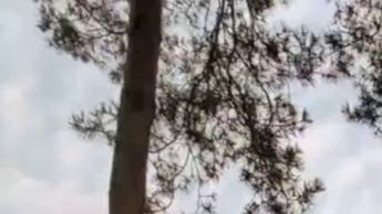 Nackt an der Autobahn…