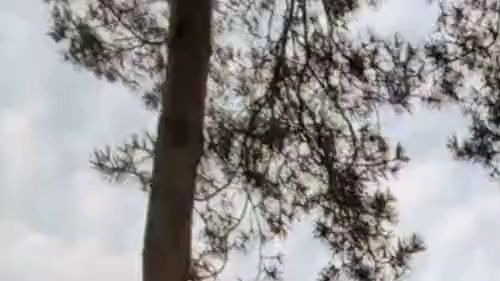 Nackt an der Autobahn…