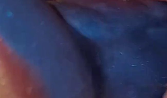 Neuen geilen Dildo getestet